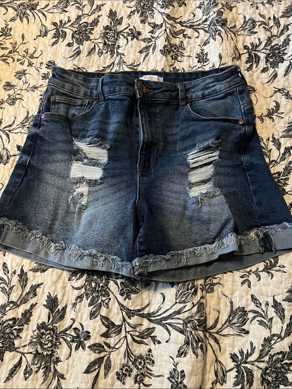 Ariya Vintage Distressed Dark Blue Jean Shorts